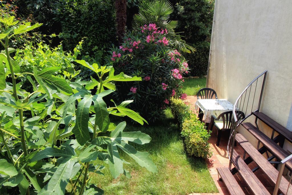 Apartment Borik *