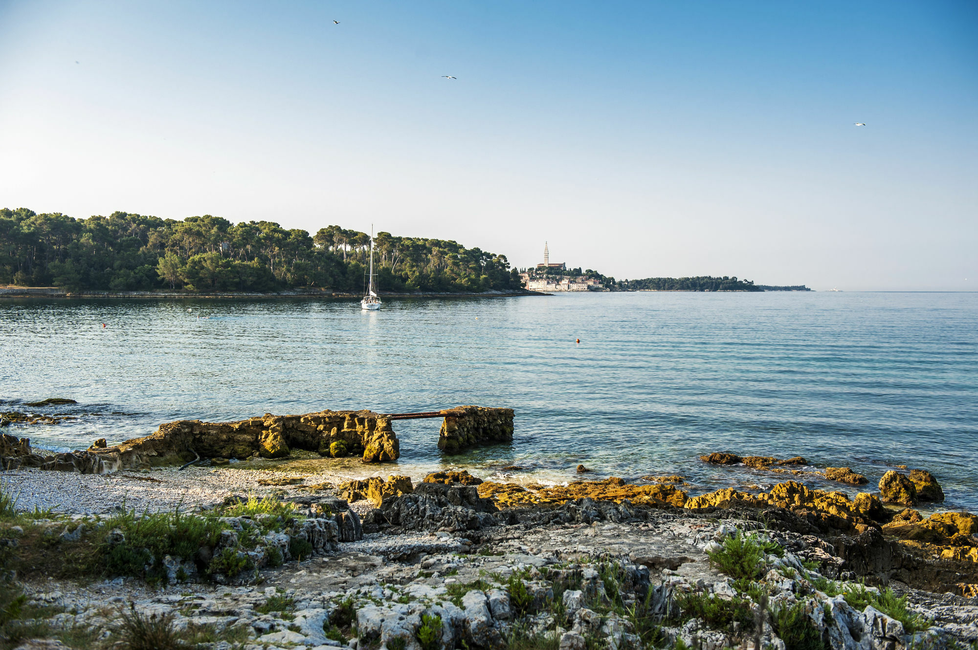 Borik * Rovinj