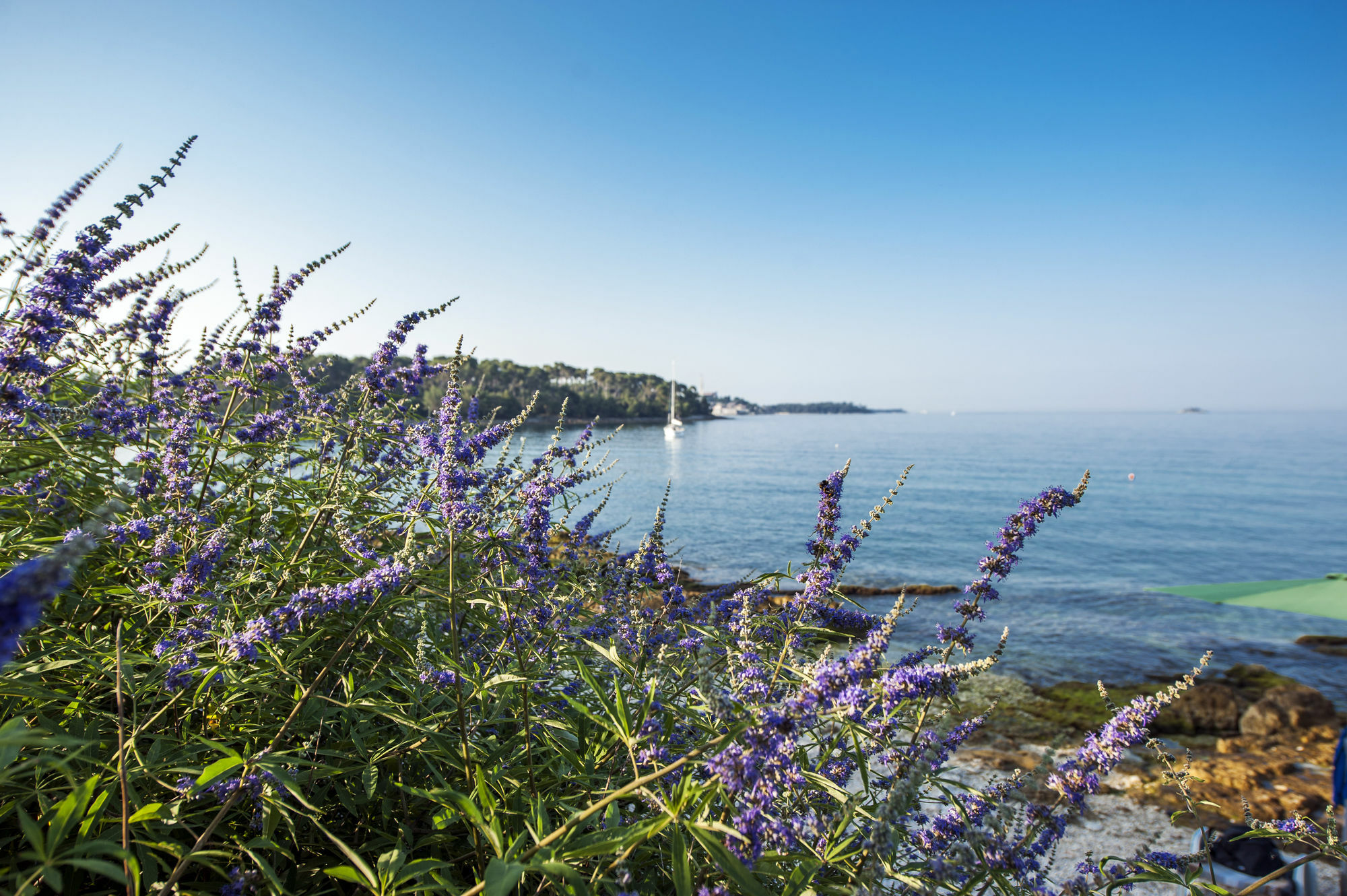 Borik * Rovinj